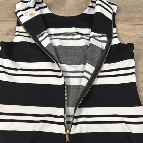 Calvin Klein Black and White Striped Sleeveless Sheath Dress with Gold Zipper - Picture 10 of 12